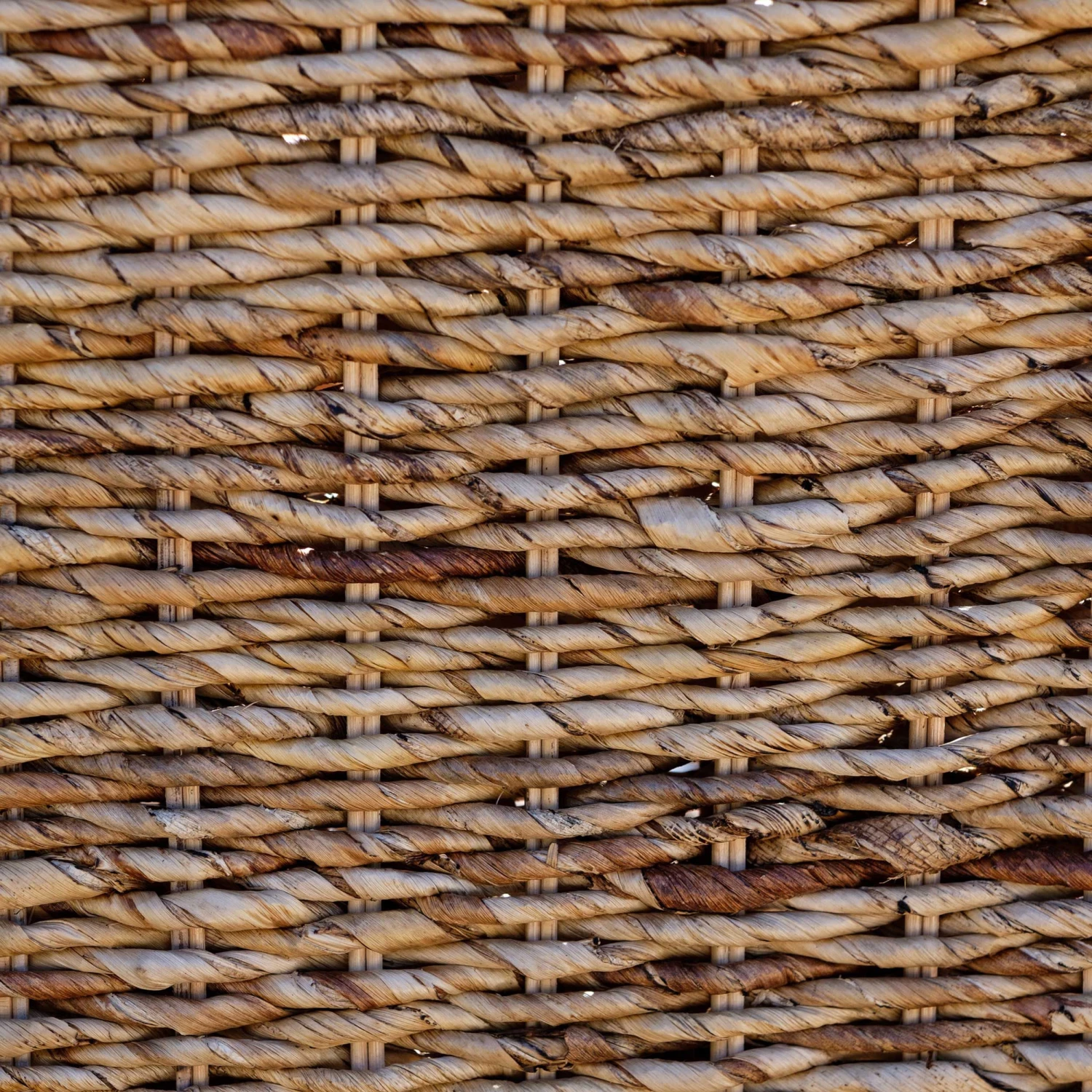 Tuinstoel Doko - Mangohout 2 Tuinstoel Doko - Mangohout - Afbeelding 2